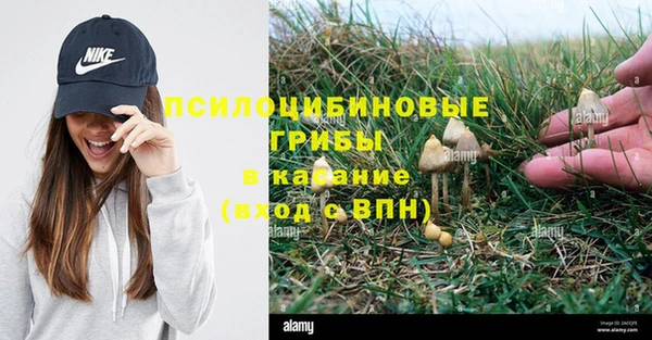 соль курить ск Снежногорск