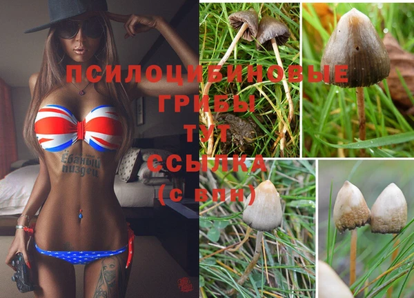 мет Белокуриха