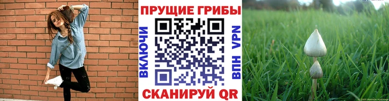 продажа наркотиков  ссылка на мегу ONION  Псилоцибиновые грибы прущие грибы  Красновишерск 